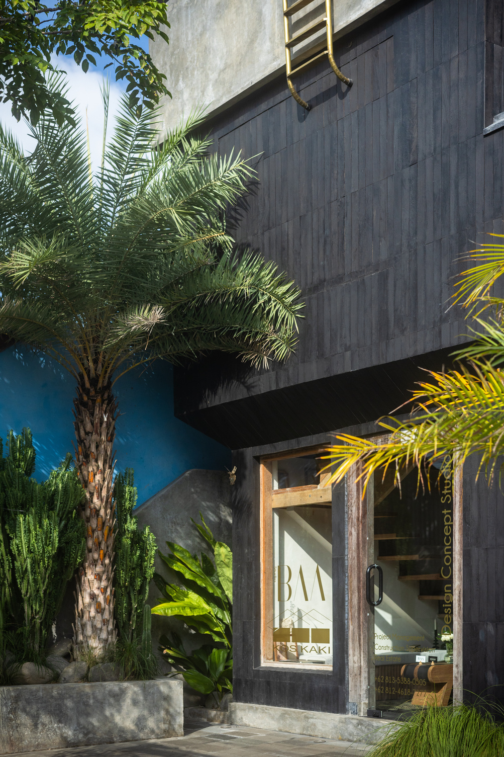 Tropical palm trees and rustic building by Koskaki